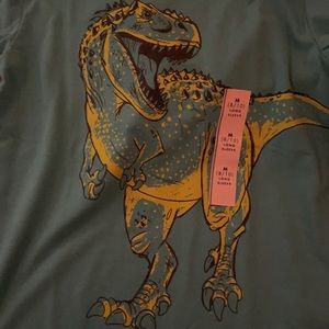 Boys long sleeve dinosaur shirt M 8/10